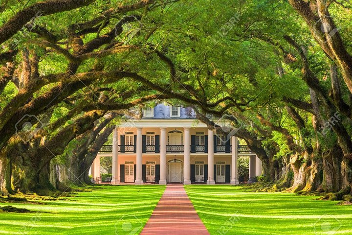 The world famous iconic view of Oak Alley Plantation